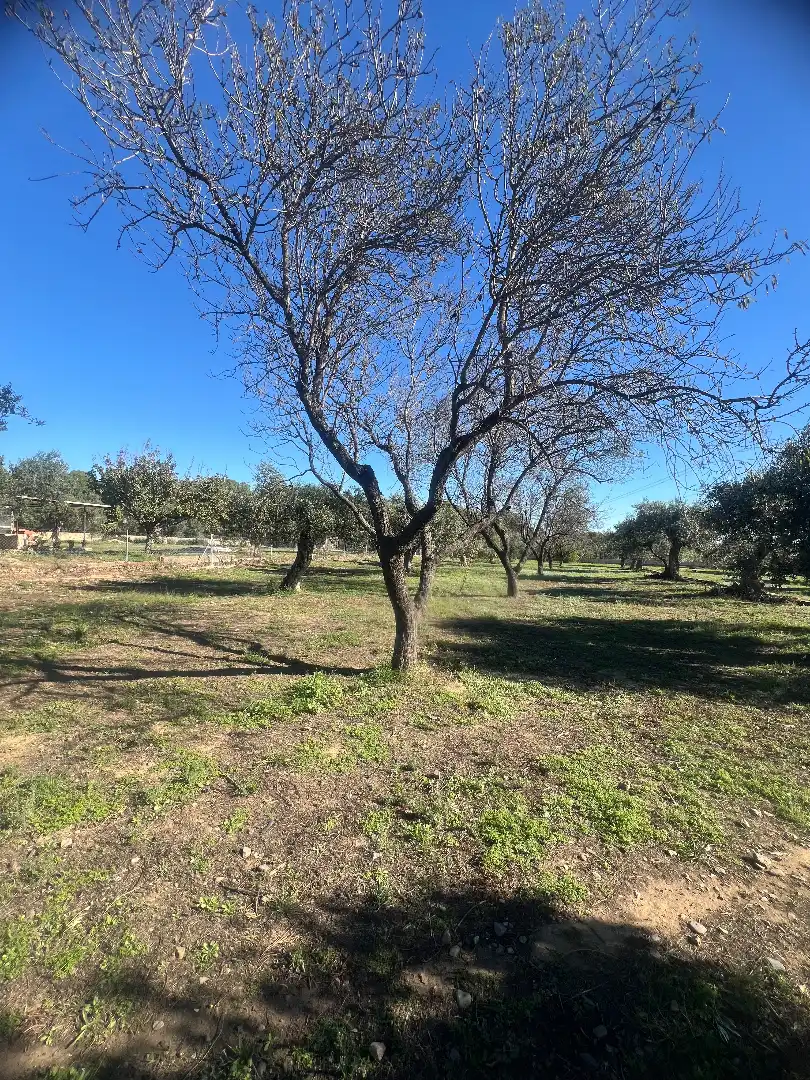 Finca rústica en venta en Botarell con Jardín privado, Trastero y Amueblado