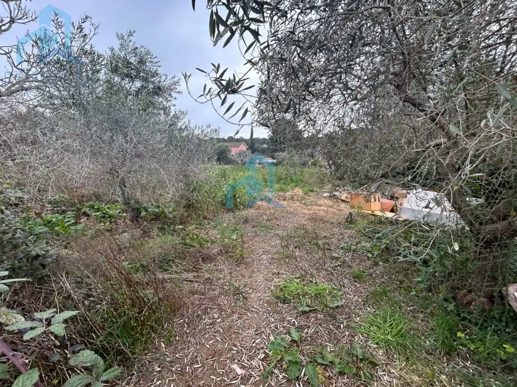 Terreno residencial en venta en Calle Mas De Toni, imagen 6