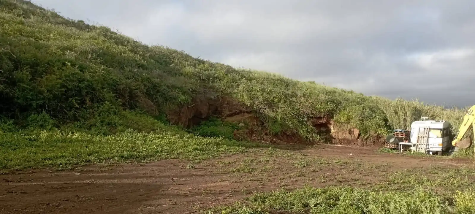 Rural land for sale in Las Mercedes, imagen 3