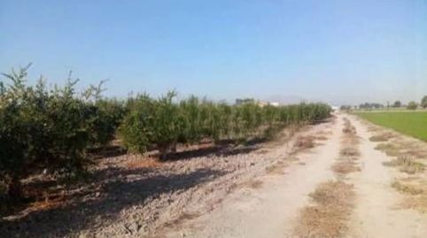 Photo 4 of Land for sale in Florida Baja, Alicante / Alacant