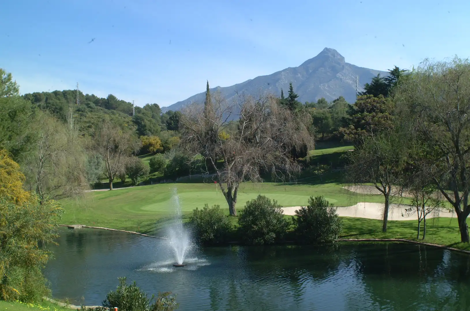 Villa mit Pool zum Verkauf in Nueva Andalucía, imagen 24