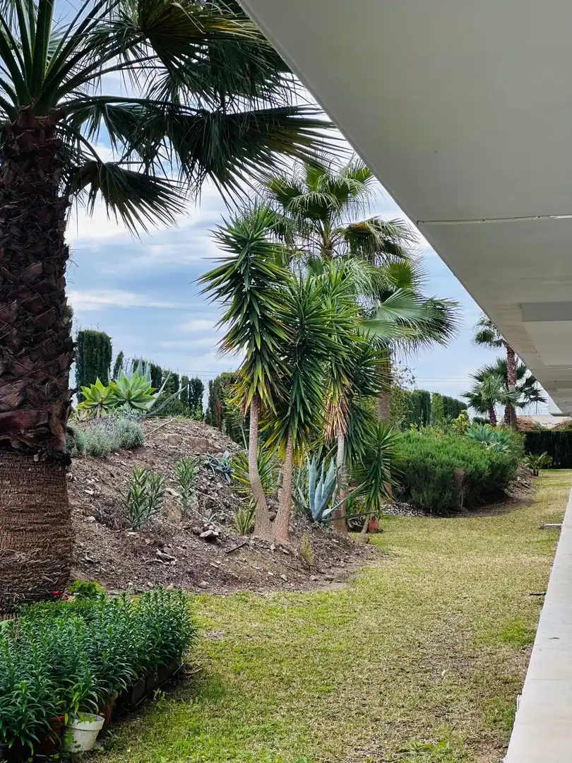 Pis amb piscina en venda a Camino CORRALEJOS, imagen 16