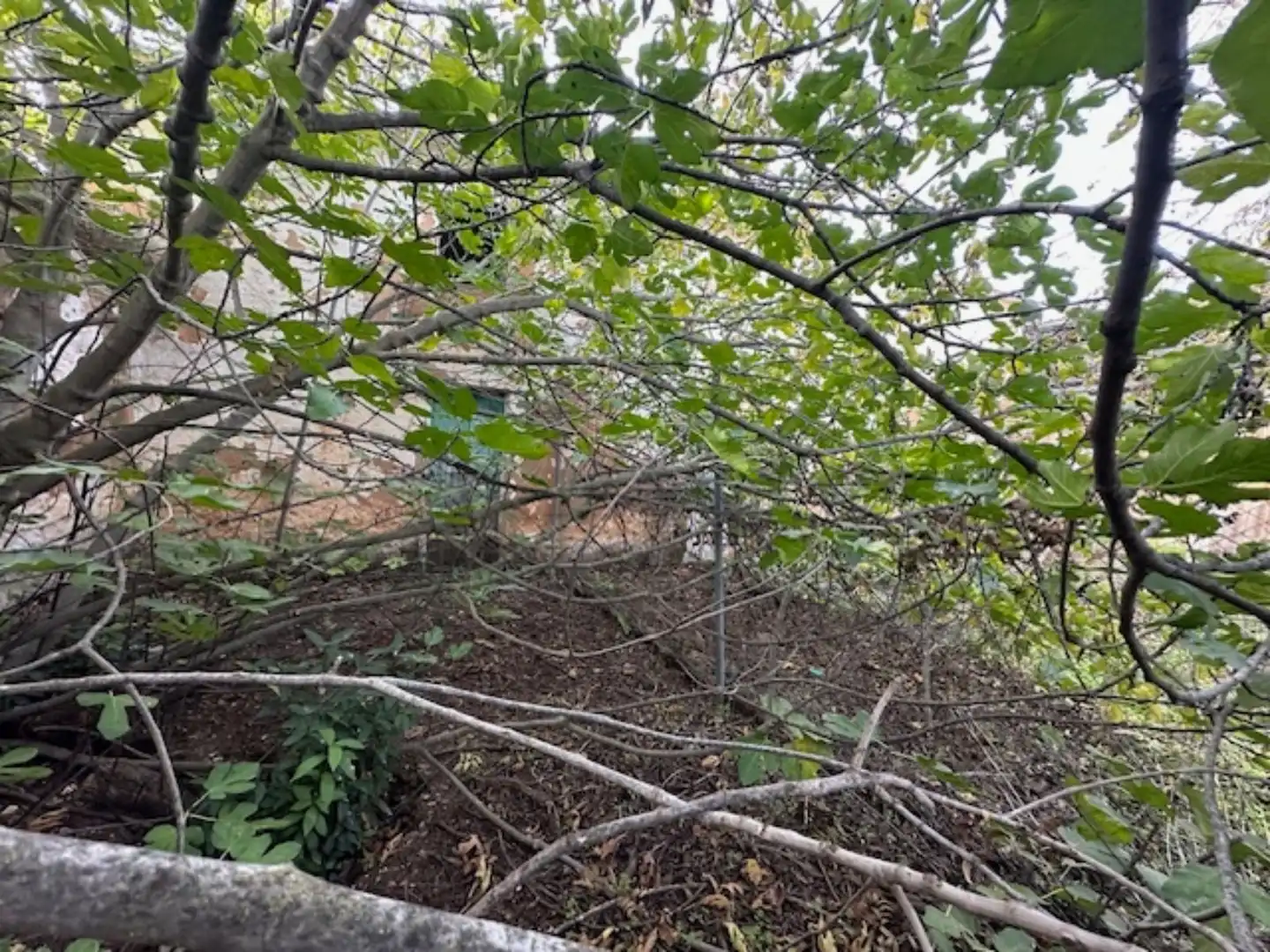 Casa a schiera in vendita a Fuente de Piedra, imagen 12