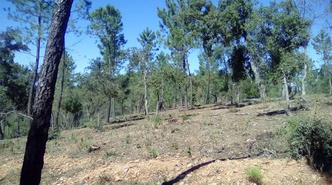 Foto 2 von Grundstücke zum Verkauf in Finca el Pozuelo, 1, Valdelarco, Huelva