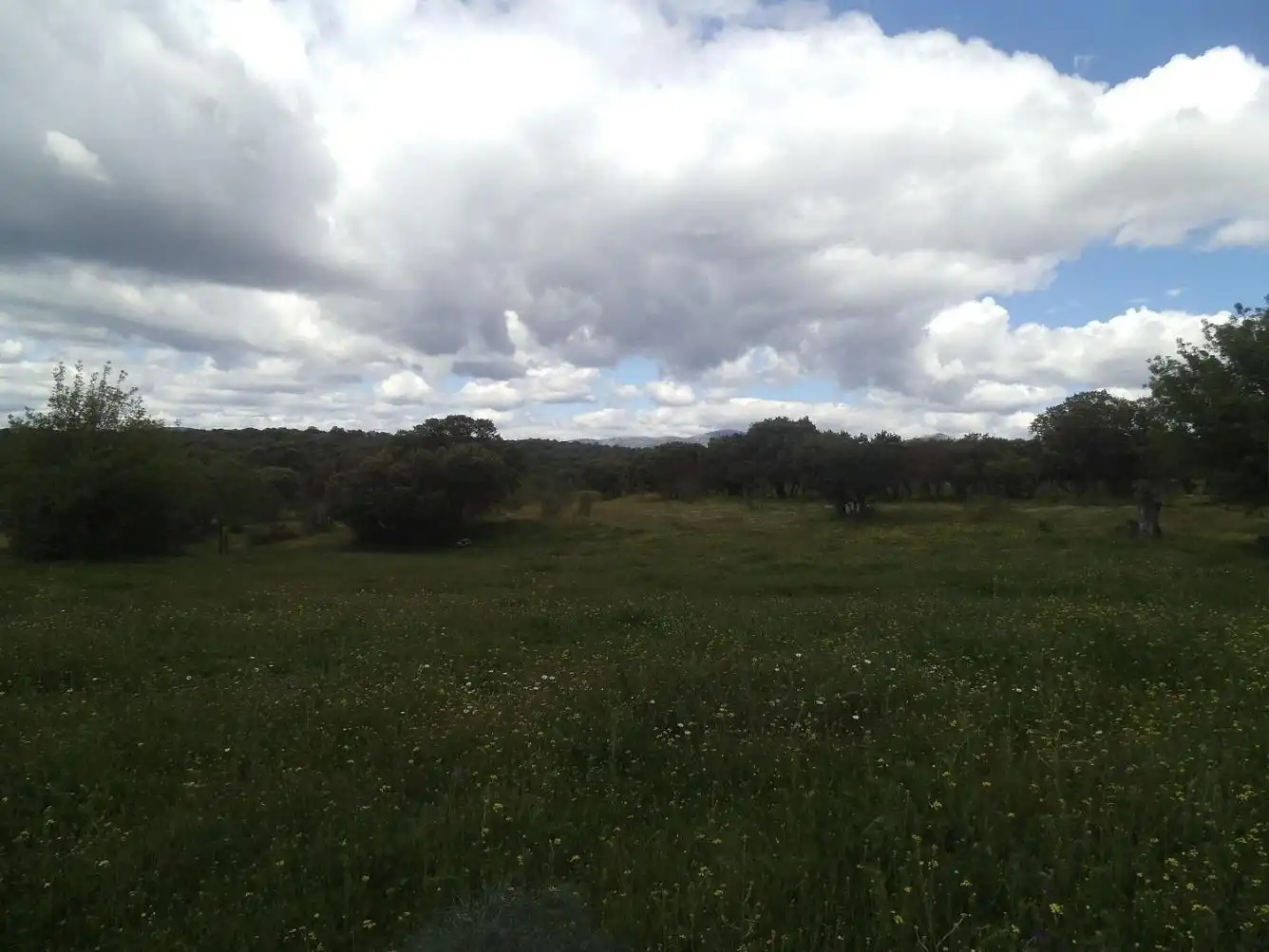 Residencial en venda en Valdemorillo
