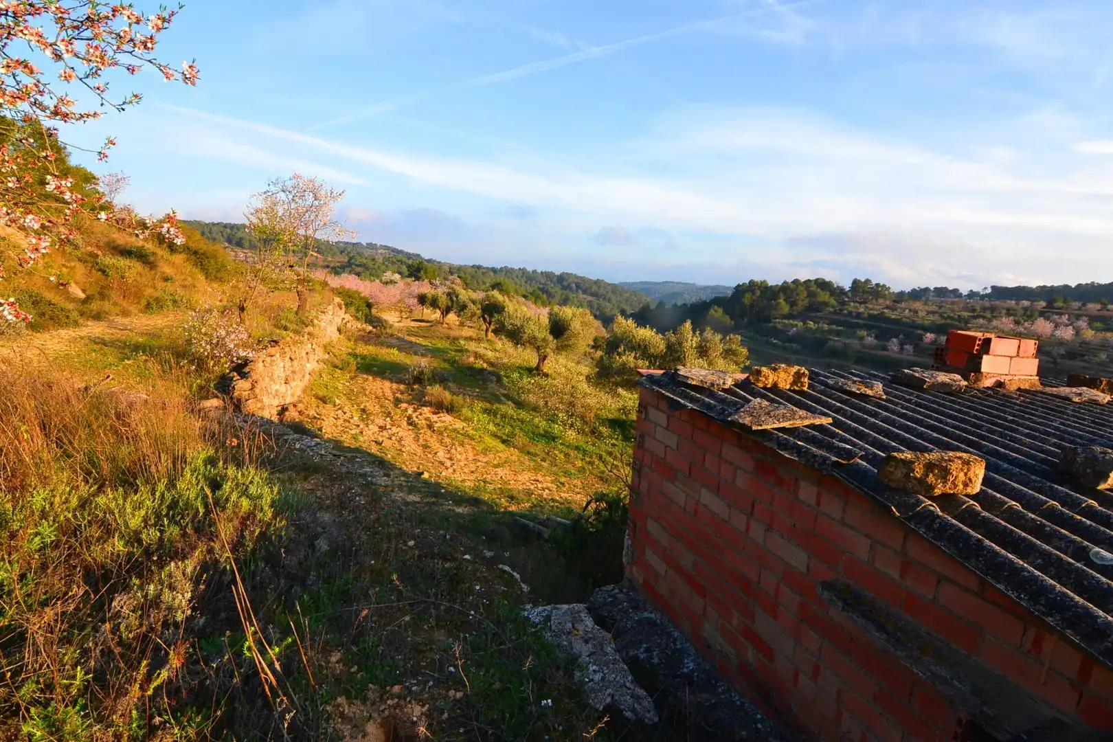 Rural land for sale in Corbera d'Ebre, imagen 64