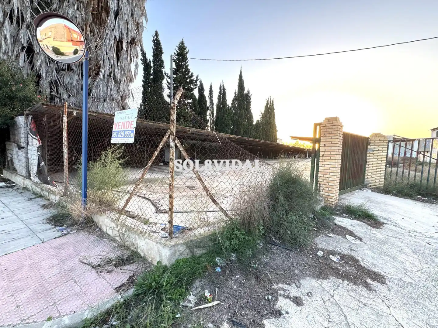 Terreno rustico in vendita a Orihuela ciudad, imagen 6