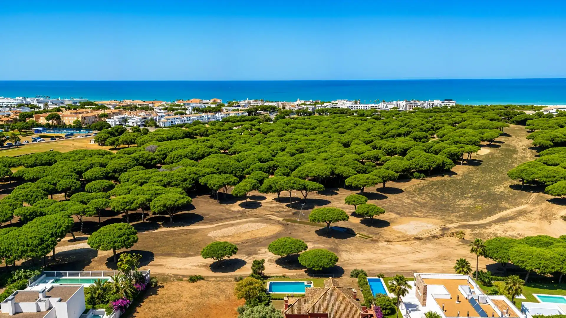 Vista exterior de Casa o xalet en venda en Chiclana de la Frontera amb Aire condicionat, Calefacció i Jardí privat