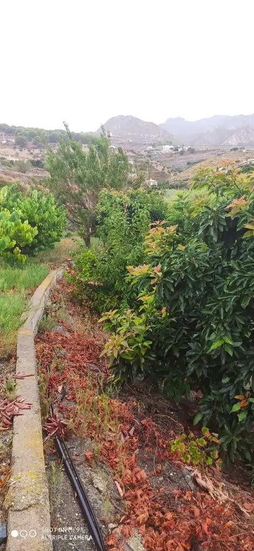 Terreno rústico en venta en Motril  ciudad, imagen 2