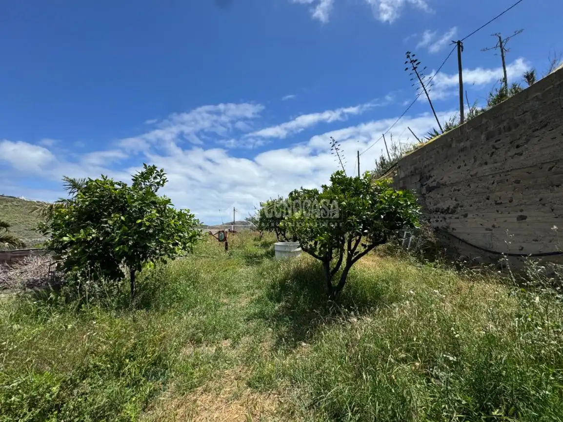 Finca rústica en venda en Las Palmas de Gran Canaria amb Terrassa i Moblat