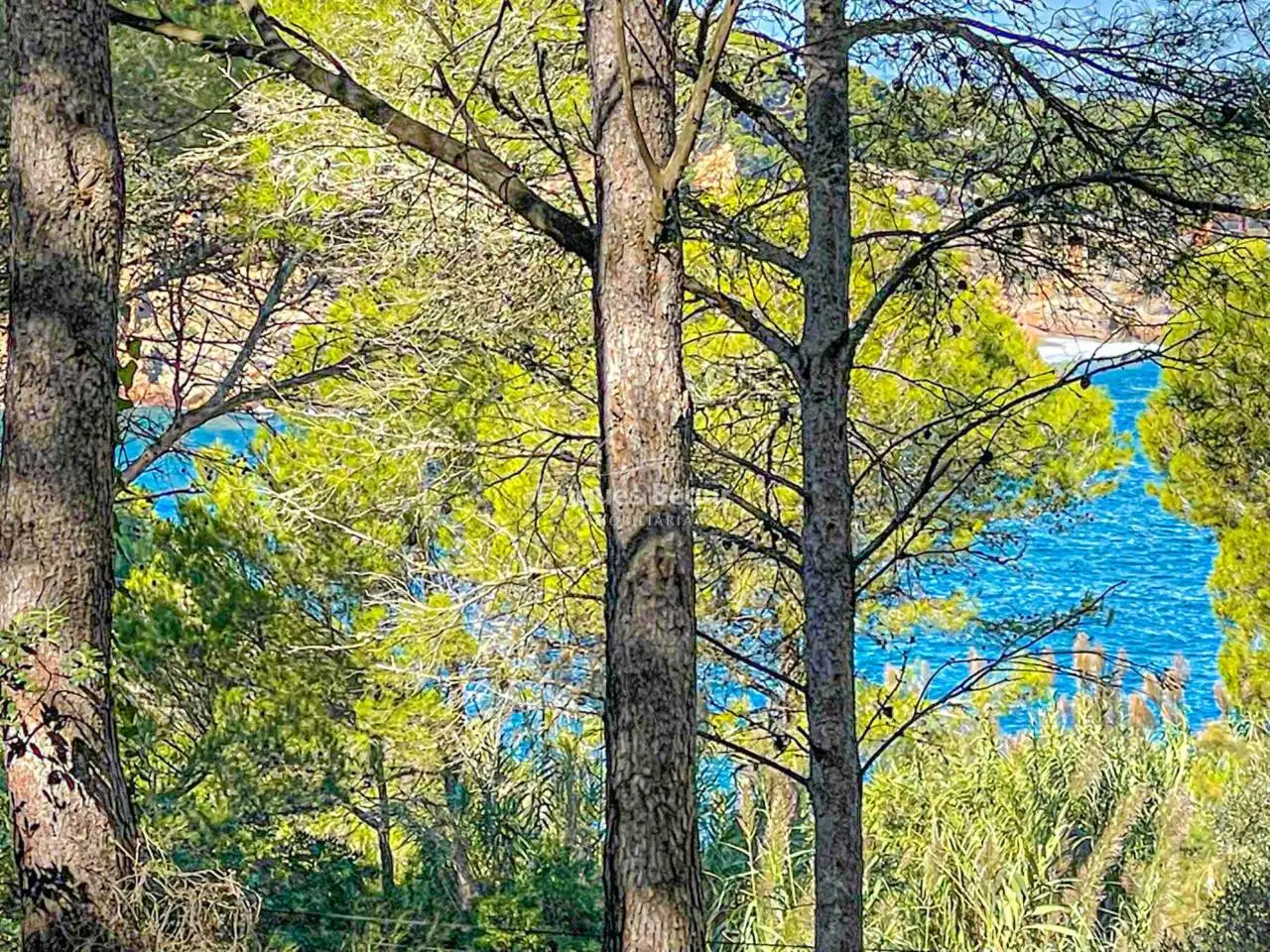 Jardí de Terreny industrial en venda en Begur