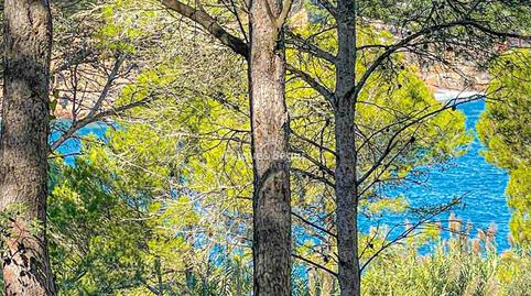 Foto 4 de Terreny industrial en venda a S´antiga, 13, Sa Riera - Sa Fontansa, Girona