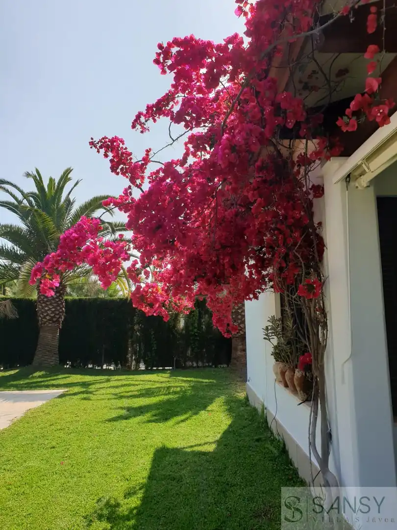 Xalet amb piscina en venda a Cap Martí - El Tossalet - Pinomar, imagen 34