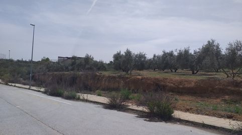 PARCELAS DE USO INDUSTRIAL  UBICADAS EN EL PP3I DE LACHAR, immagine 5