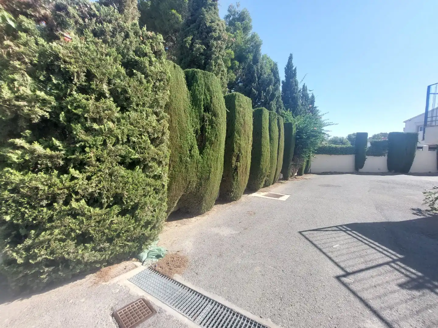 House with pool for sale in Camí de la Cantera 66, imagen 70