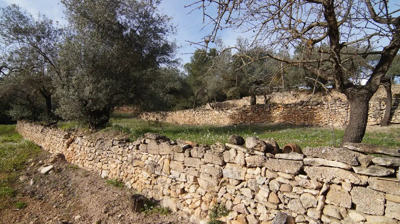 Terrain rustique à vendre à Rasquera, imagen 10