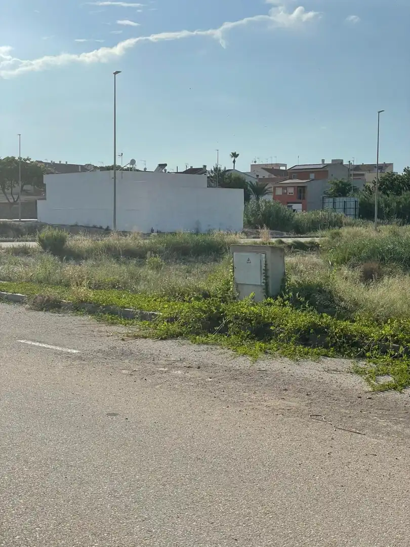 Terreny rústic en venda a Ceutí, imagen 8