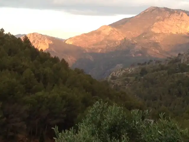 Vista exterior de Casa o xalet en venda en Tàrbena amb Aire condicionat, Calefacció i Jardí privat