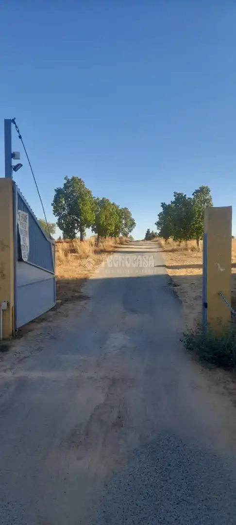 Finca rústica en venta en Aznalcázar