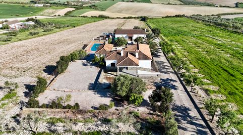 Foto 3 de Finca rústica en venta en Lugar Parrilla Alta, 32, Arcos de la Frontera, Cádiz