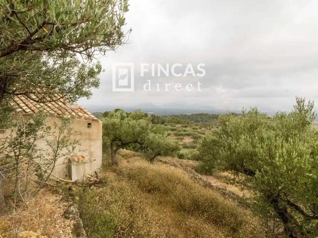 Country house zum Verkauf in Tortosa mit Möbliert