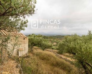 Finca rústica en venda en Tortosa