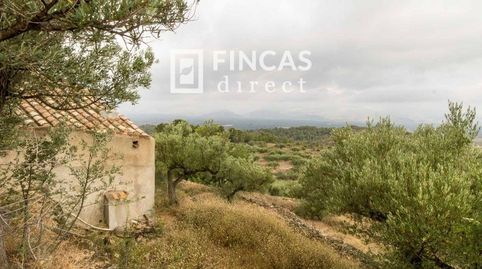Foto 5 de Finca rústica en venta en Vh23+mw4, Bítem, Tortosa