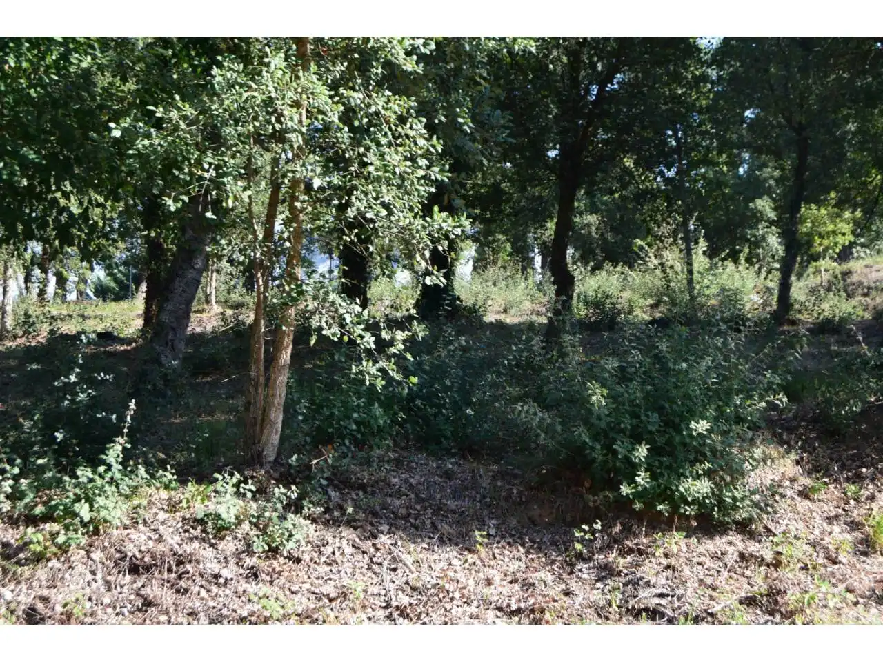 Residential land for sale in Calle PUIG DE LES CADIRETES, imagen 2