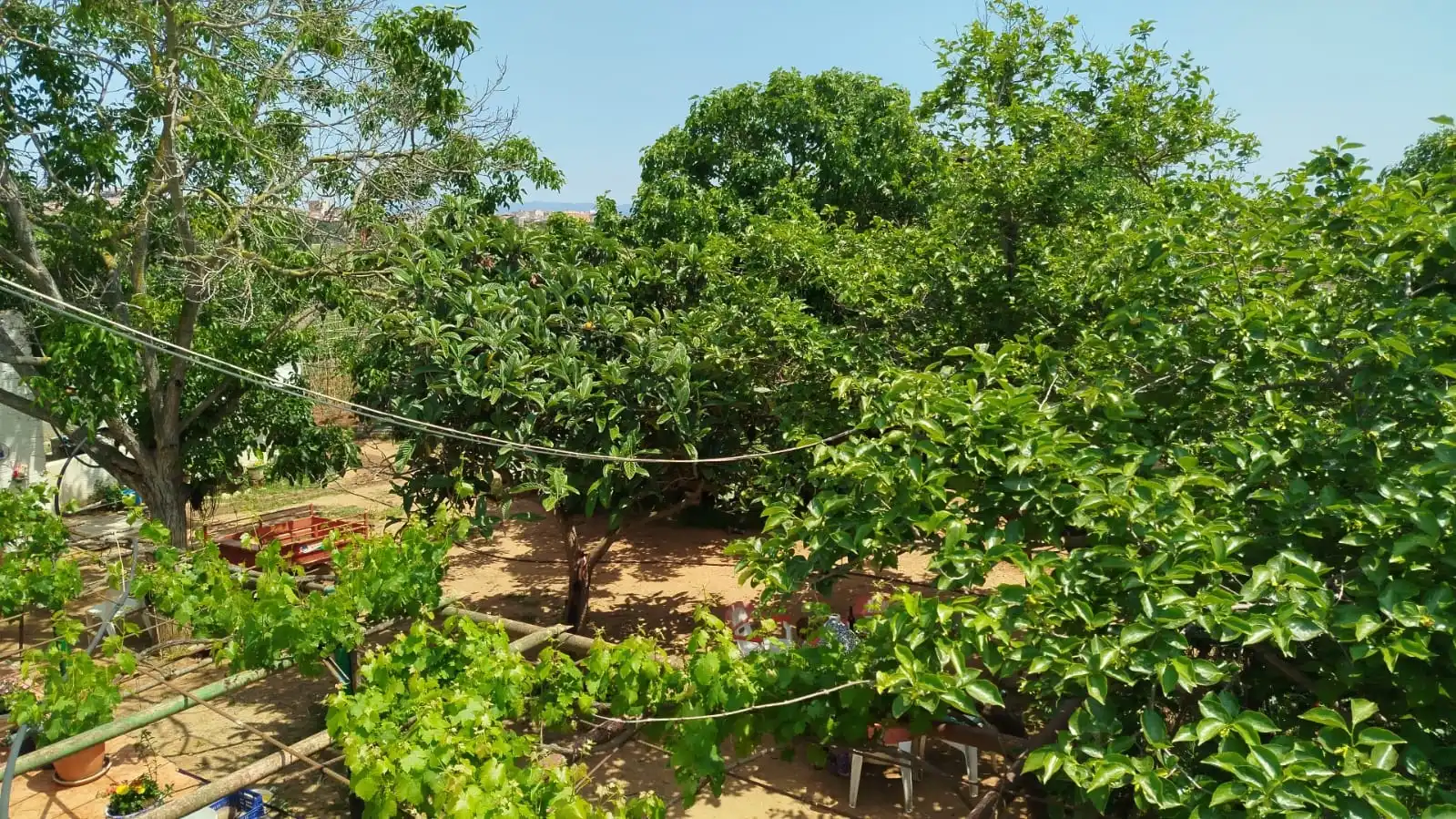 Finca rústica en venda en Sabadell