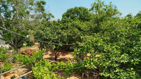 Foto 3 de Finca rústica en venda a Can Llong, Barcelona