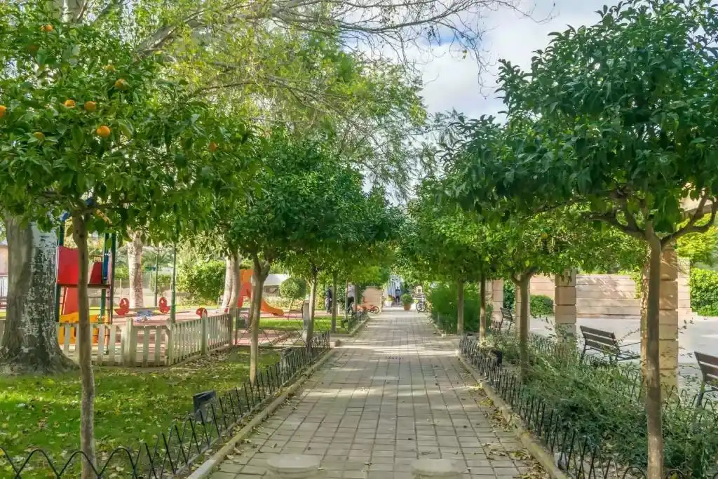 Residential land for sale in Calvià pueblo, imagen 7