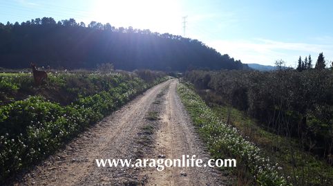 Foto 3 de Finca rústica en venta en Caspe, Zaragoza