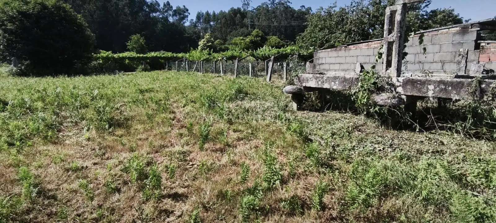 Terreni e lotti in vendita a Maceira-Parderrubias, imagen 4