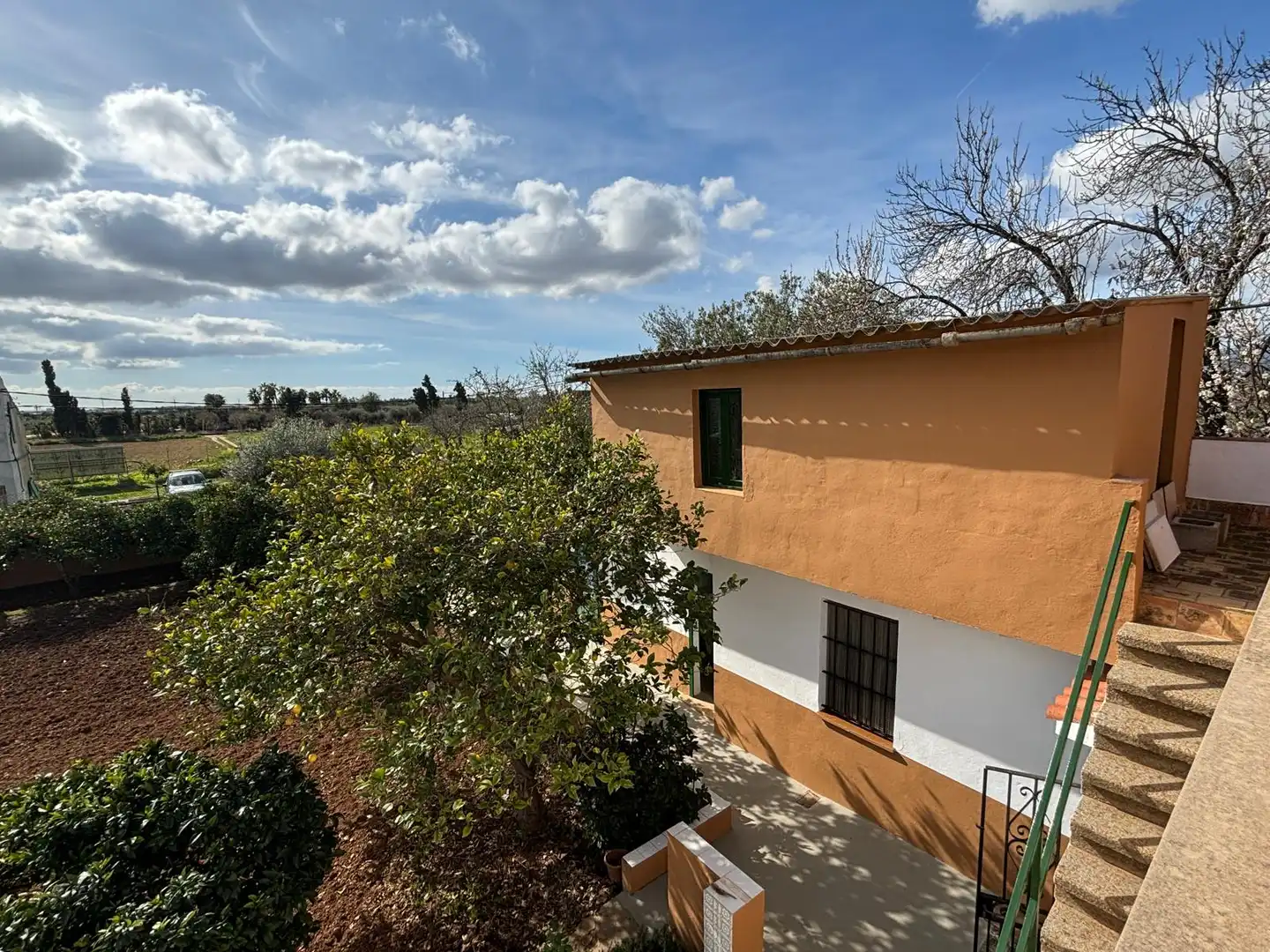 Vista exterior de Finca rústica en venta en Marratxí