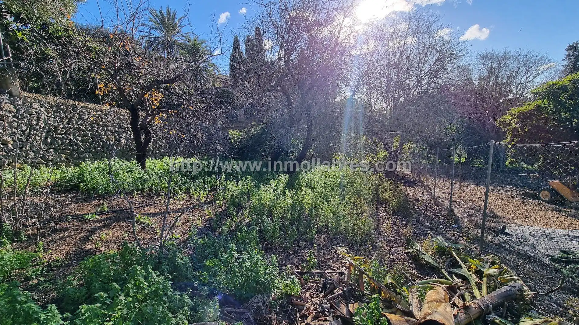 Casa rústica en venta en Campanet, imagen 5