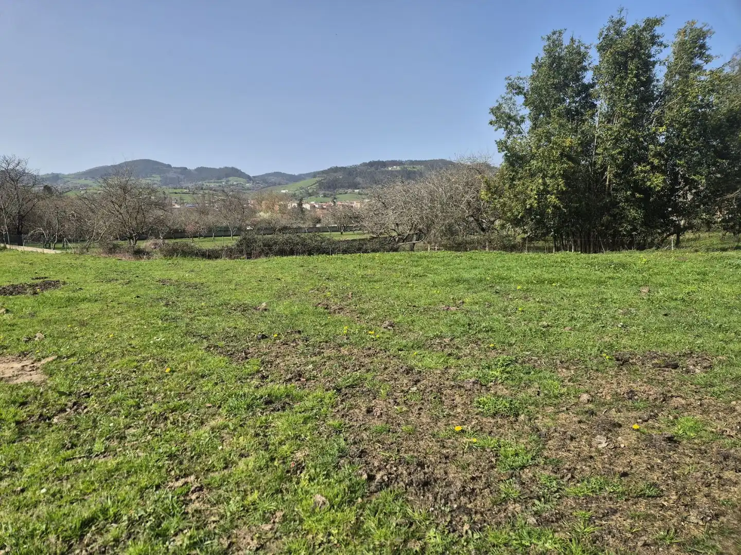 Residential land for sale in Grado, imagen 11