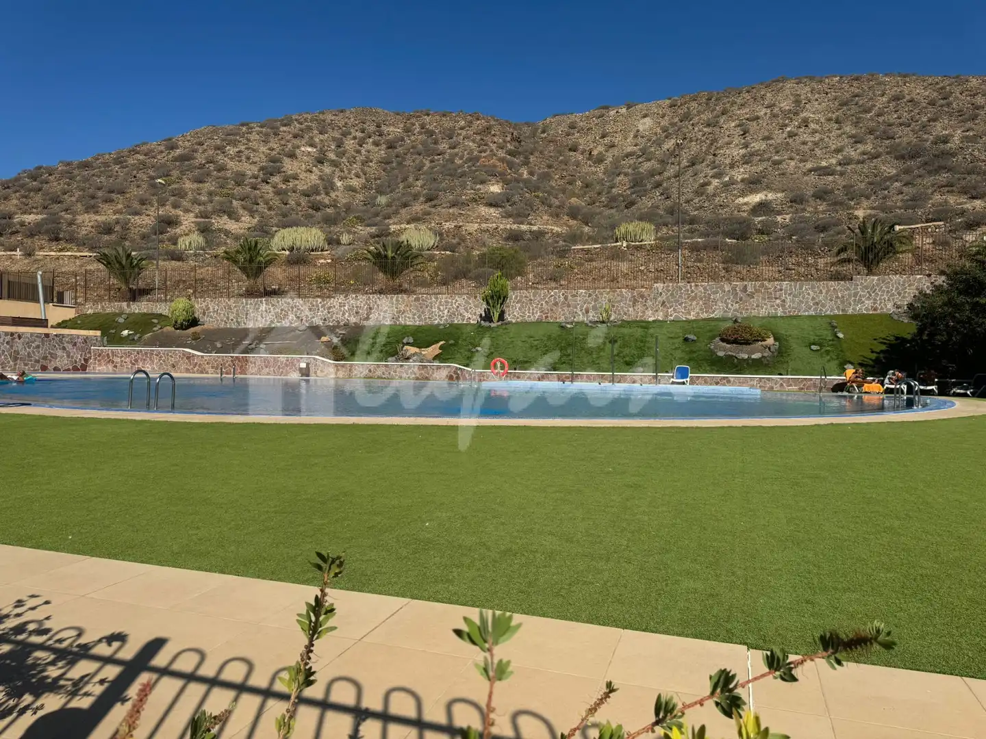 Swimming pool of Apartments for sale in Palm - Mar
