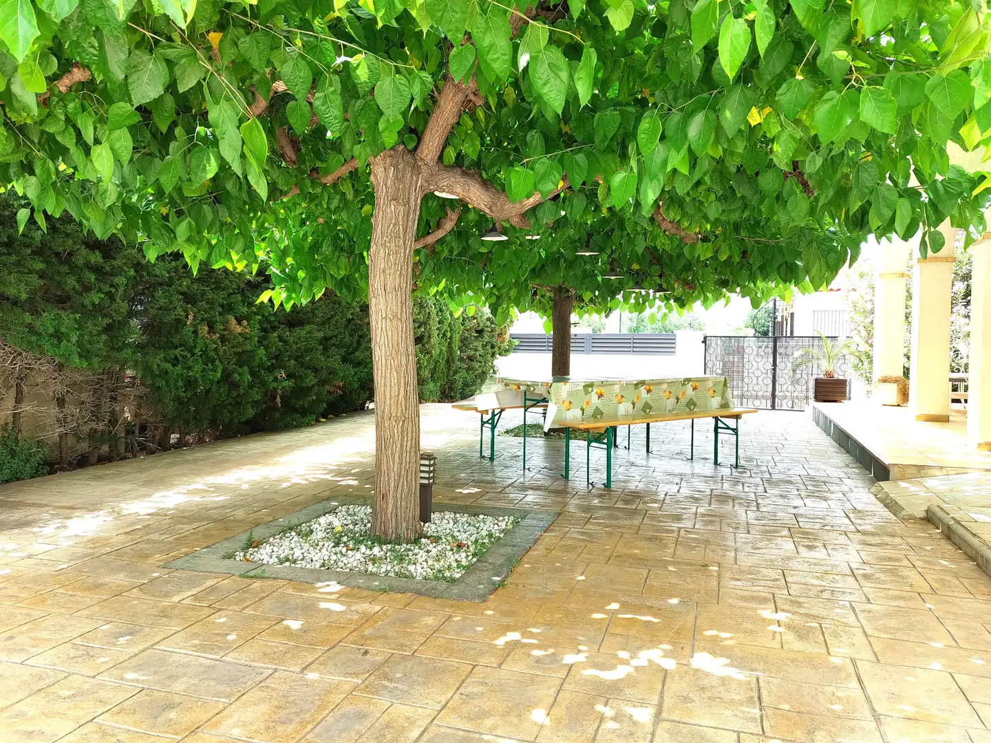 Villa con terrazza in vendita a Carrer Bargalló, imagen 28
