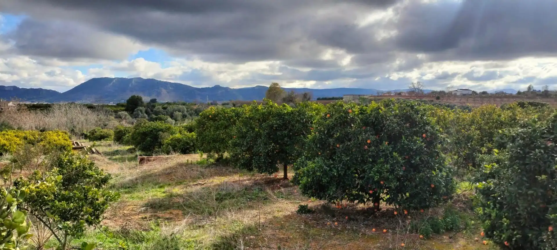 Land for sale in Rotglà i Corbera
