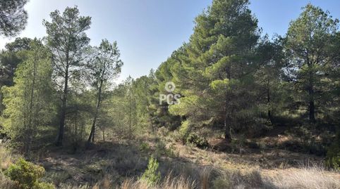 Terreno en venta en Totana, immagine 2