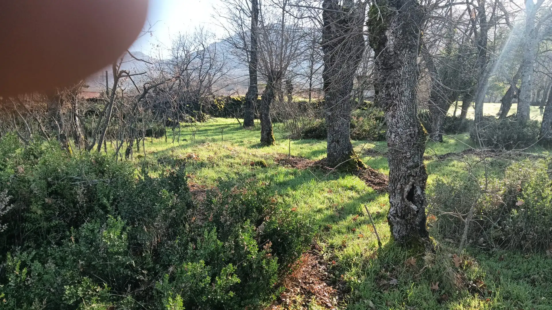 Terreni e lotti in vendita a Hervás, imagen 4