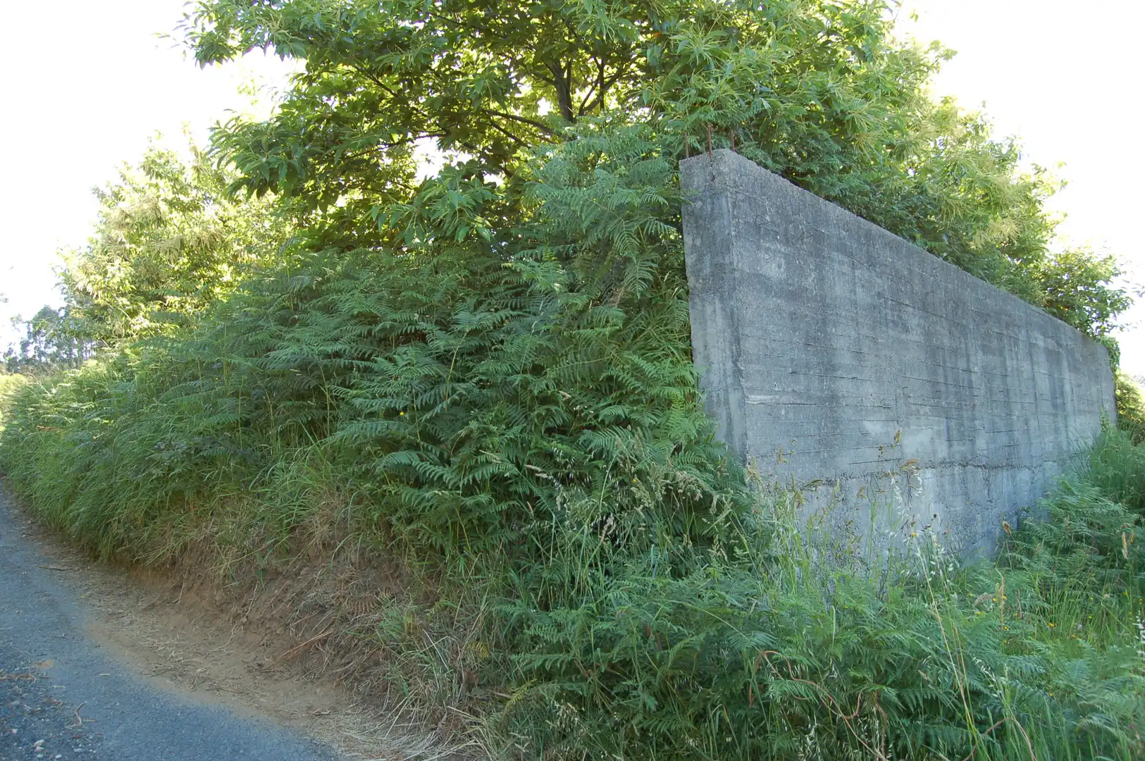 Grundstücke und Bauplätze zum Verkauf in Lugar Campo Cruz 57, imagen 5
