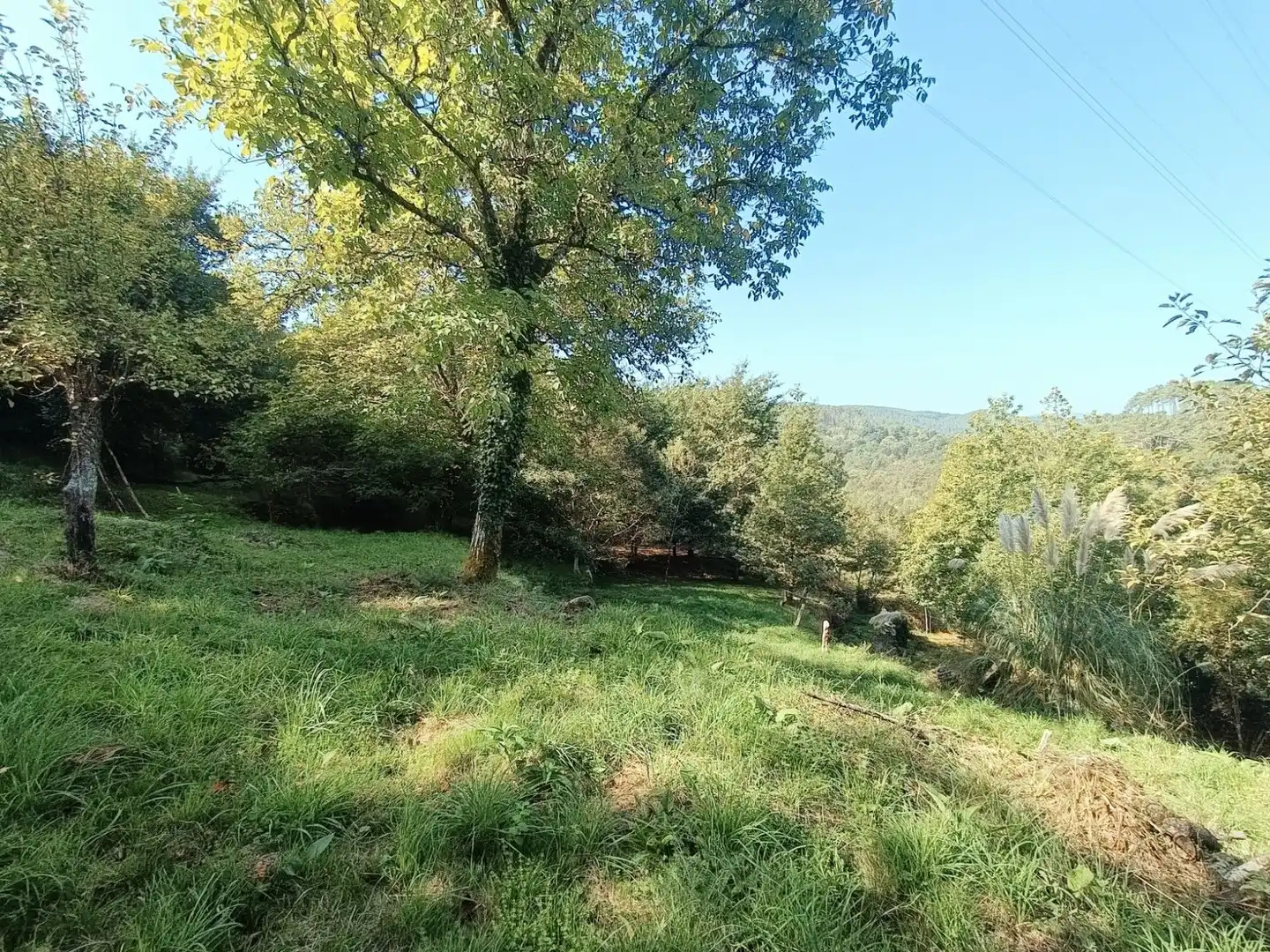 Casa o xalet en venda en Padrenda