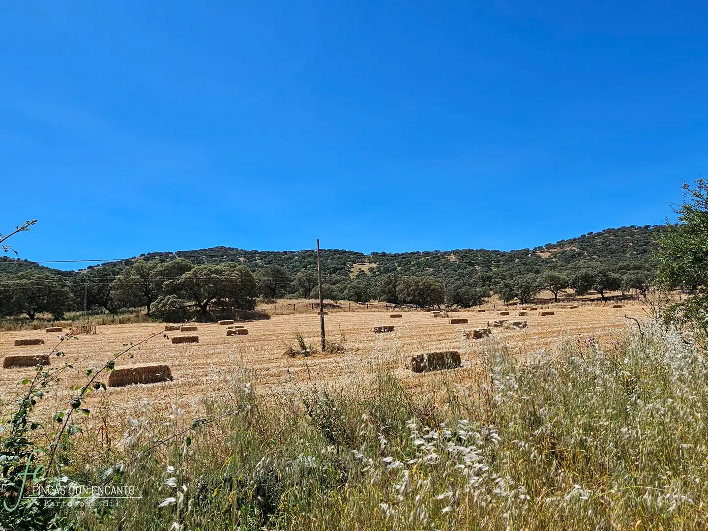 Country homes for sale in Cazalla de la Sierra  with Swimming Pool