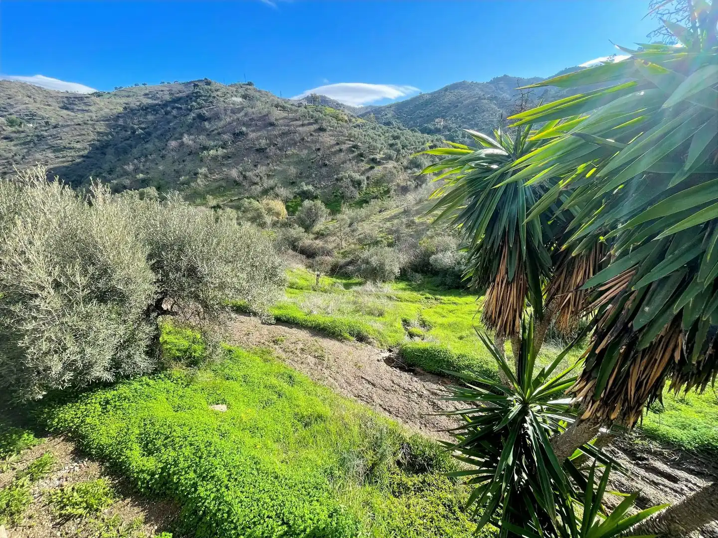 Country homes for sale in Álora  with Heating, Private garden and Terrace
