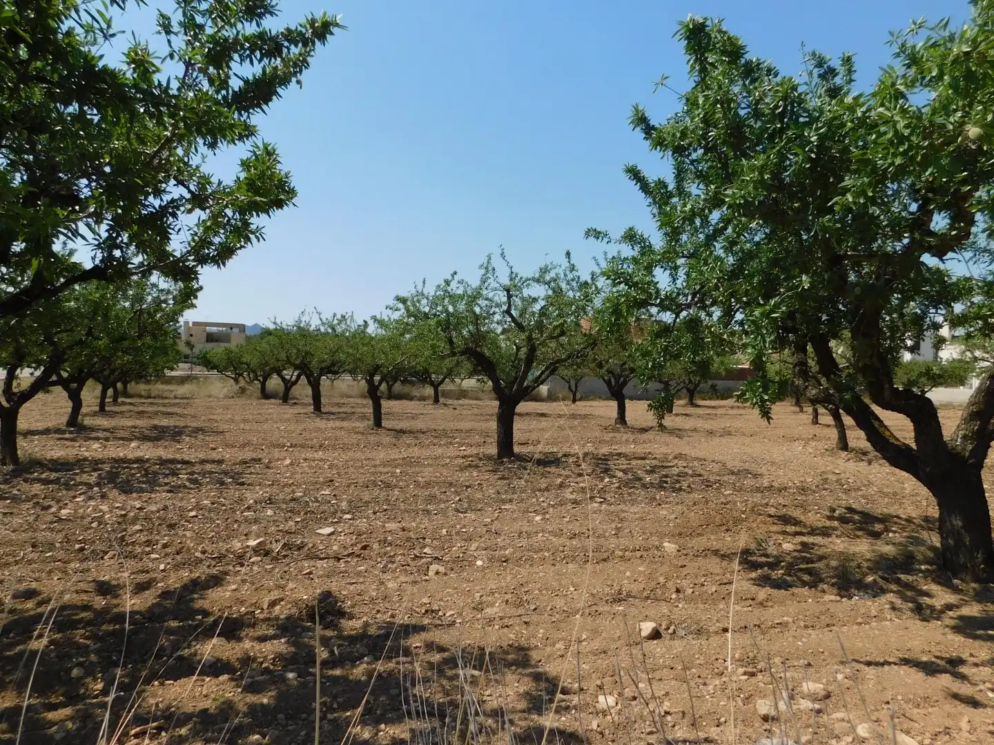 Residential land for sale in Carretera Carretera Llano de Béjar 5, imagen 8