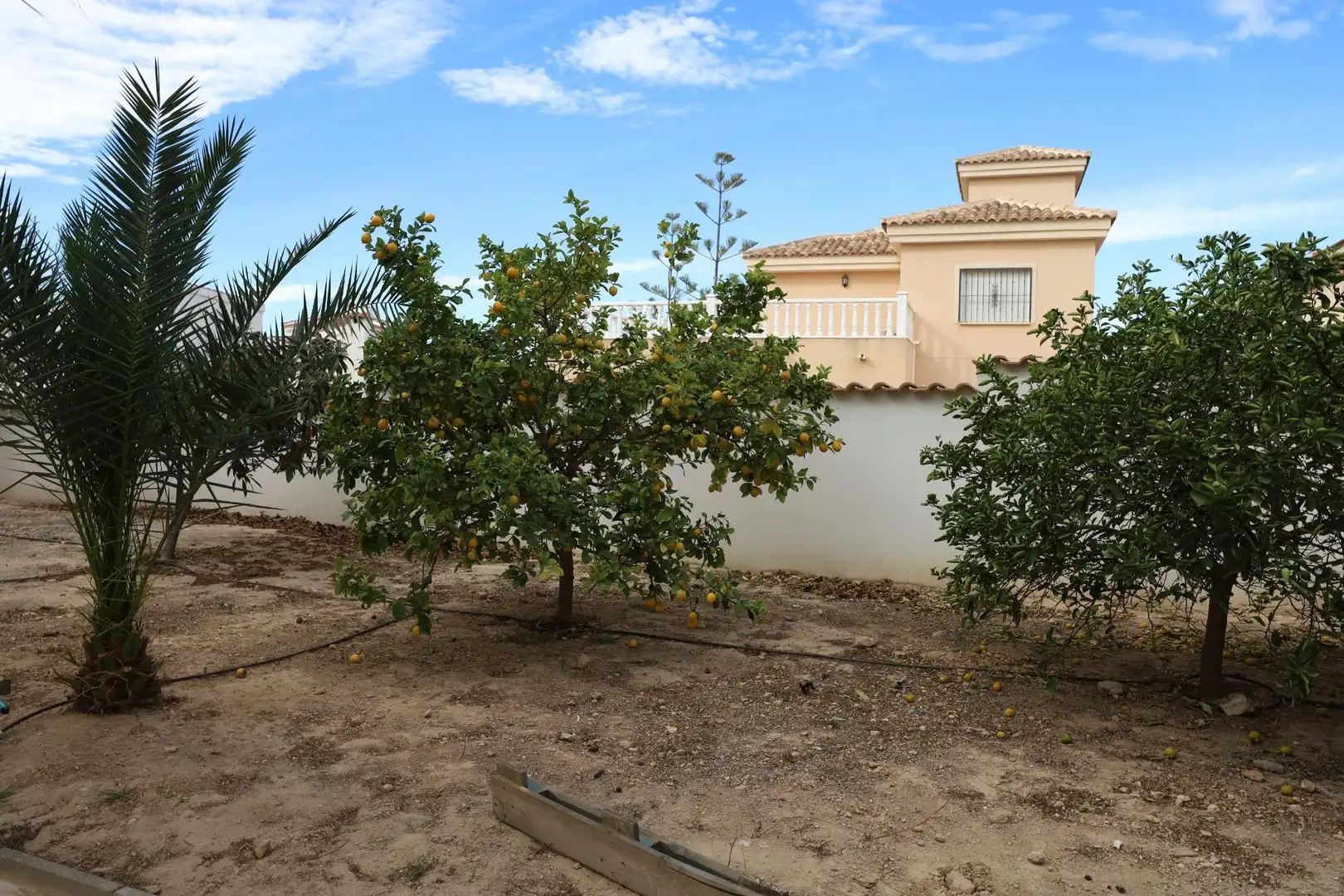 Jardí de Casa o xalet en venda en Rojales amb Piscina