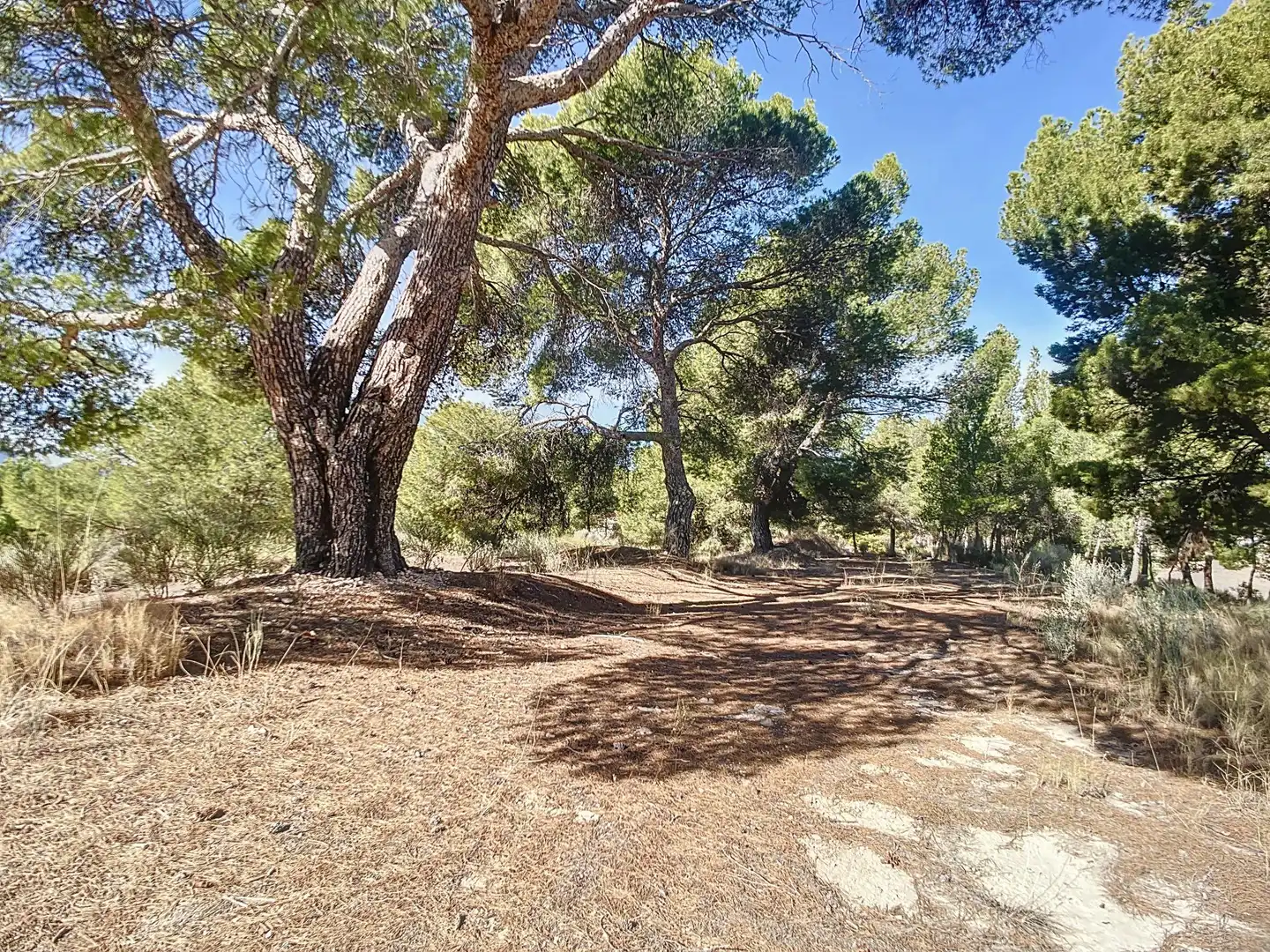 Finca rústica en venta en Tibi con Jardín privado, Terraza y Trastero