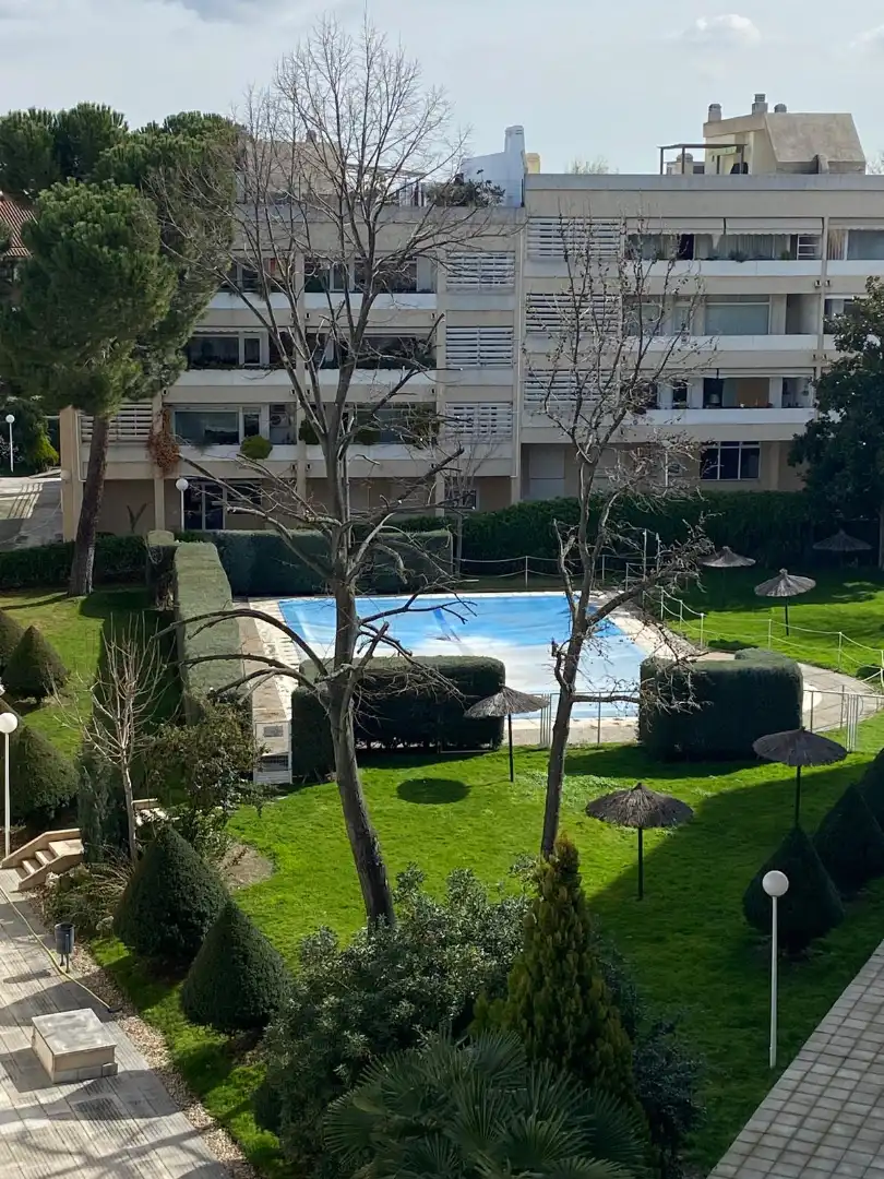 Swimming pool of Ground floor for sale in Pozuelo de Alarcón  with Heating, Terrace and Oven