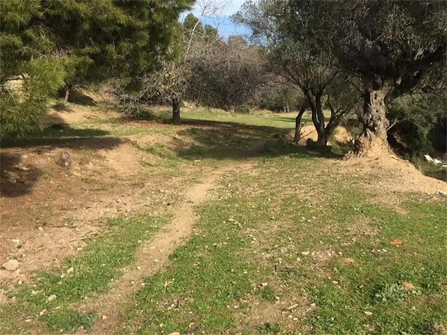 Casa o xalet en venda en Olesa de Montserrat